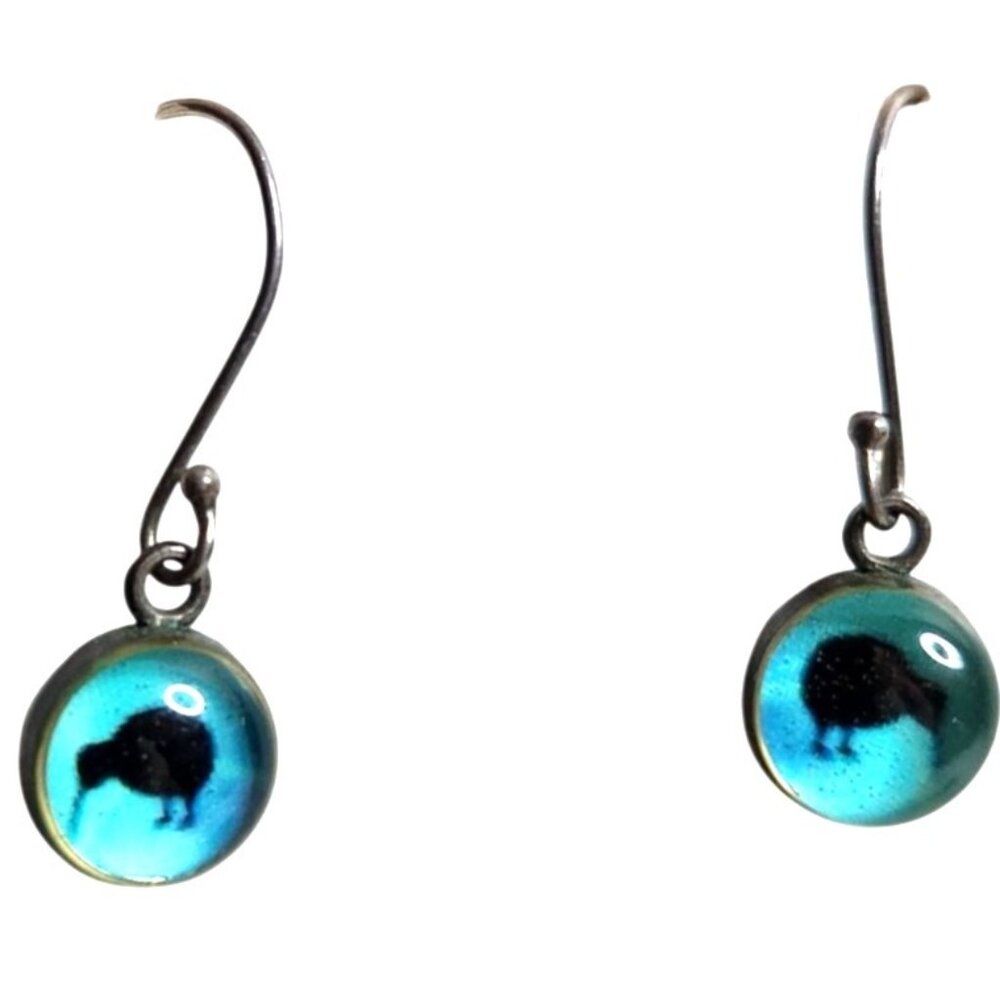 Earrings Kiwi Bird Blue Dangle womens Jewelry hook New Zealand boho